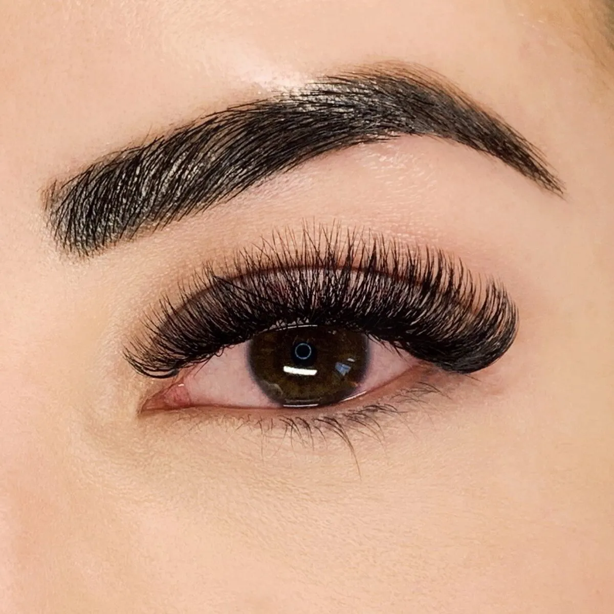 Dramatic mega volume lash extensions on a dark brown eye